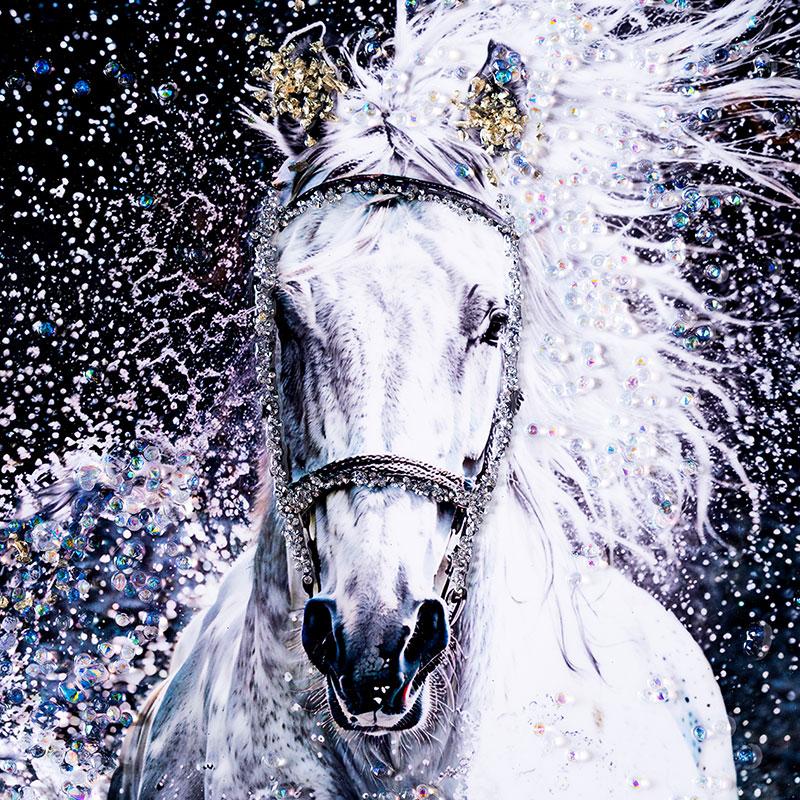 水晶パネル アートパネル 40×50cm 50×40cm 白馬 駿馬 銀フレーム付き