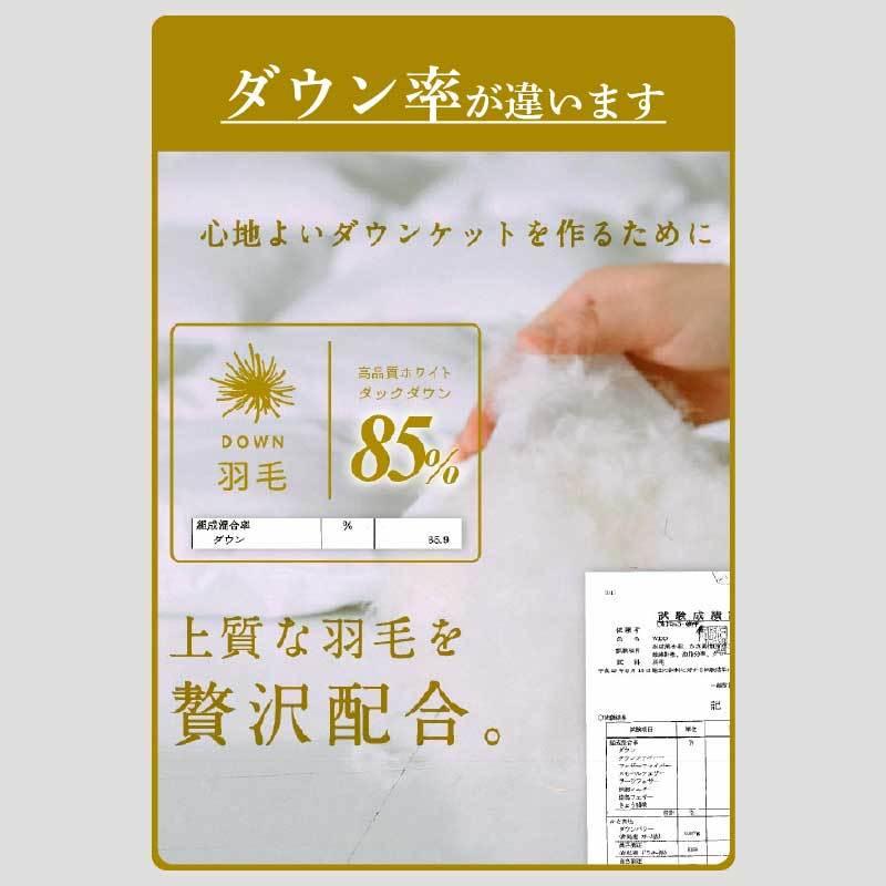 30日までP5倍 ダウンケット日本製 羽毛85% 0.2kg SL シングルロング 掛け布団 掛布団 春夏用 洗える ウォッシャブル 洗濯可能 ダウン 羽毛 ケット｜kagu-world｜13