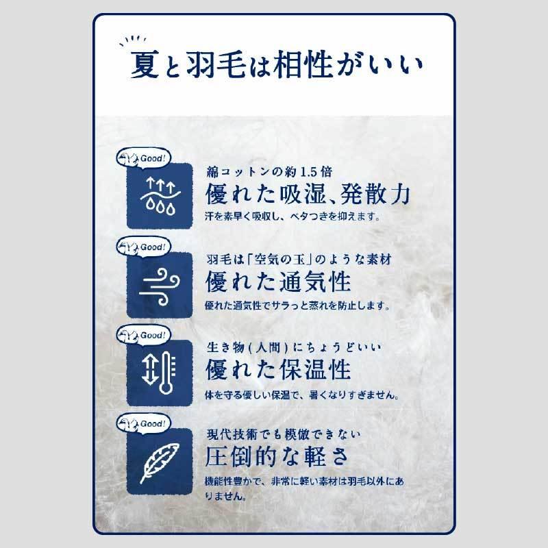 30日までP5倍 ダウンケット日本製 羽毛85% 0.2kg SL シングルロング 掛け布団 掛布団 春夏用 洗える ウォッシャブル 洗濯可能 ダウン 羽毛 ケット｜kagu-world｜10