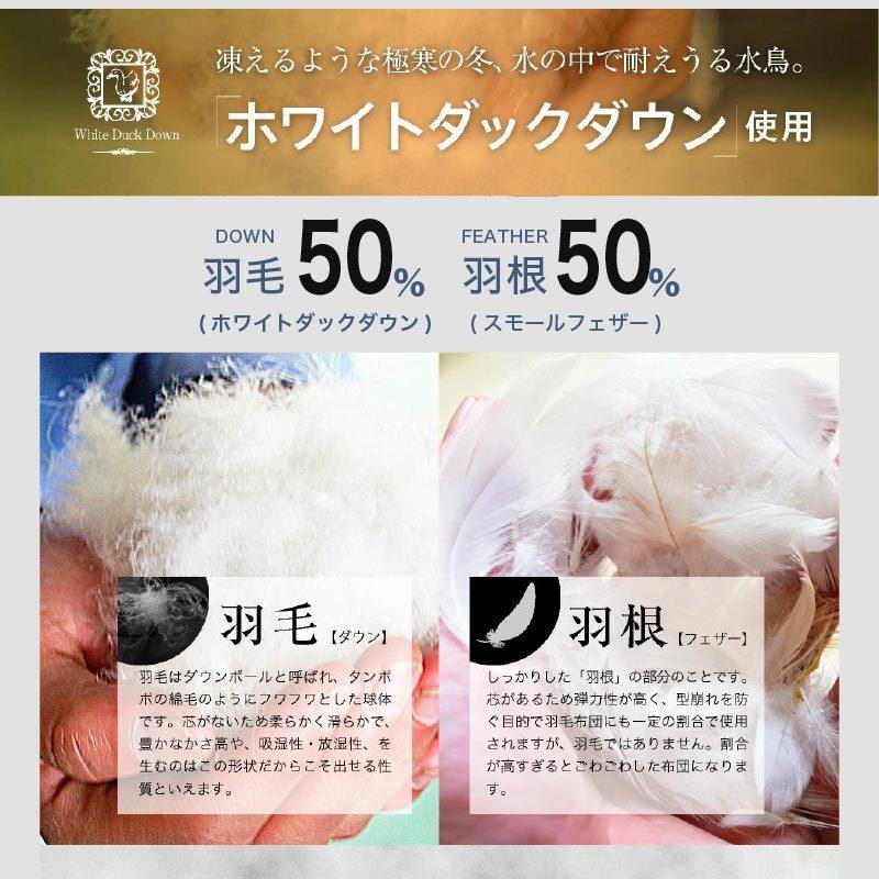 ウォッシャブルダウンケット 羽毛50% 0.2kg SL シングルロング 掛け布団 掛布団 春夏用 洗える 洗濯可能 ダウン 羽毛 ケット 肌掛け 軽い 軽量｜kagu-world｜08