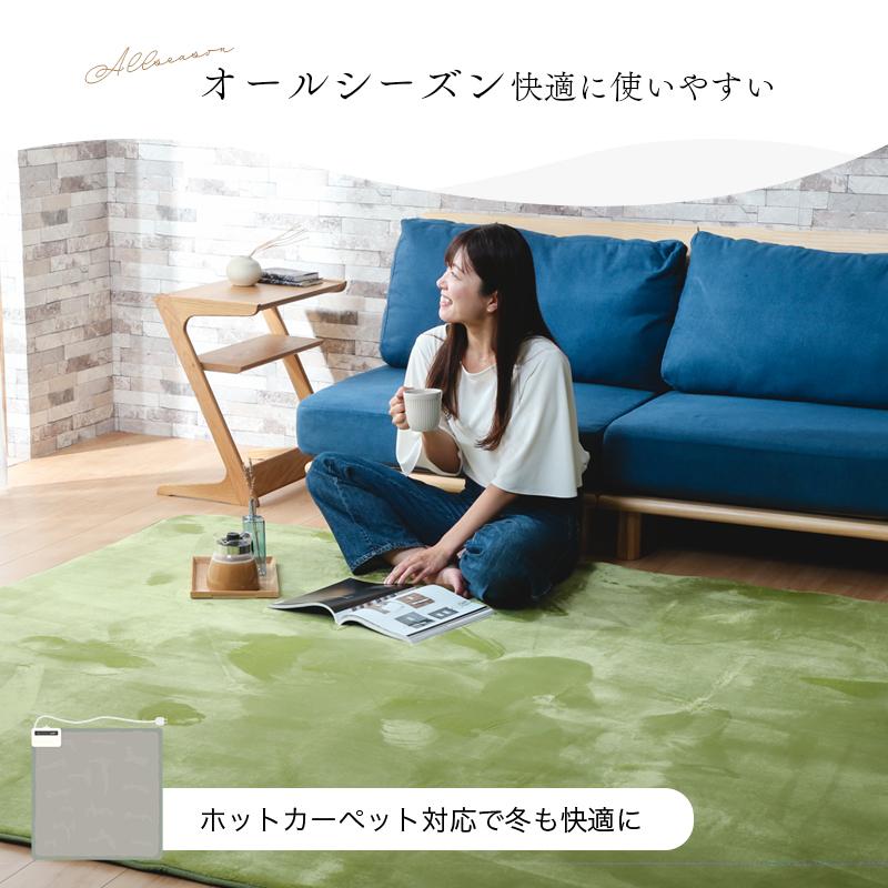 KAGUWORLD マイクロファイバーラグ 200×250cm 3畳 敷物 ホット