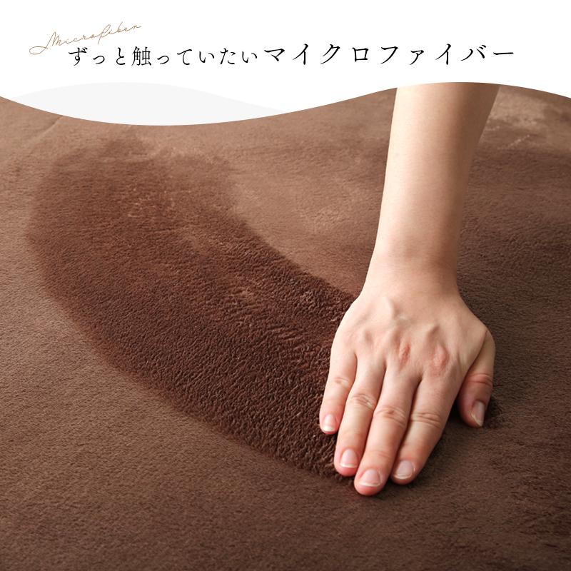 KAGUWORLD マイクロファイバーラグ 200×250cm 3畳 敷物 ホット