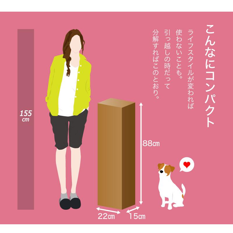 KAGUWORLD ハンガーラック 突っ張り 2連 スリム ウォークイン