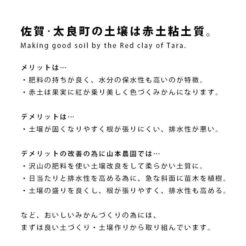 25日ポイント祭終了 みかん 5kg 甘熟 温州 山本農園 産地直送 佐賀 国産 日本産 とれたて 新鮮 旬 甘い 酸味 香り ジューシー 有機 Yne 0002 Kagu World 通販 Yahoo ショッピング