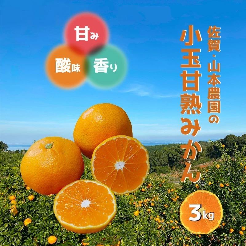 週末sale開催 みかん 小玉 3kg 甘熟 温州 山本農園 産地直送 佐賀 国産 日本産 とれたて 新鮮 旬 甘い 酸味 香り ジューシー 有機 Yne 0003 Kagu8 通販 Yahoo ショッピング