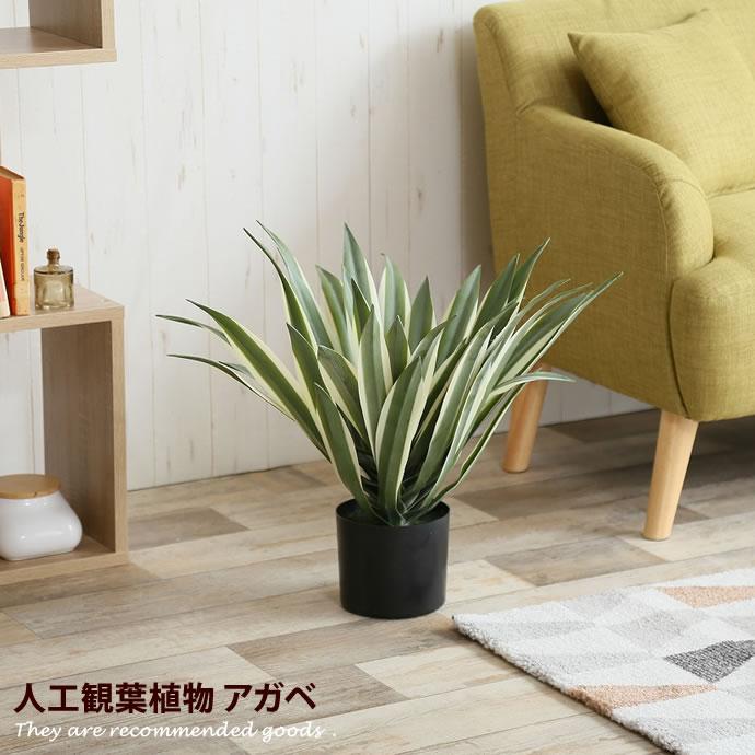 フェイクグリーン アガベ 竜舌蘭 インテリア 造花 植木鉢 鉢植え 熱帯 観葉植物 人工樹木 花材 植物 装飾 インテリア G 家具350 通販 Yahoo ショッピング
