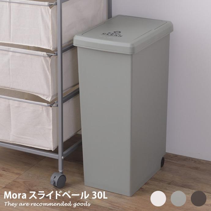 ゴミ箱 スライドペール 30L スライド式ゴミ箱 ダストボックス 雑貨 