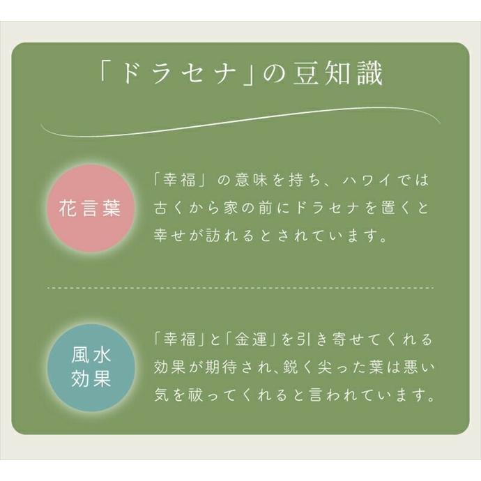 フェイクグリーン 観葉植物 人工観葉植物 ドラセナ 高さ140cm 鉢付き ワイヤー入り インテリア フェイク 人工 大型 水やり不要 手入れ簡単 室内 オフィスの画像