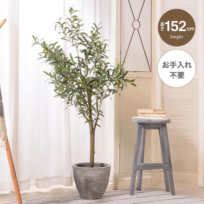 フェイクグリーン 観葉植物 人工観葉植物 オリーブ 高さ152cm 鉢付き
