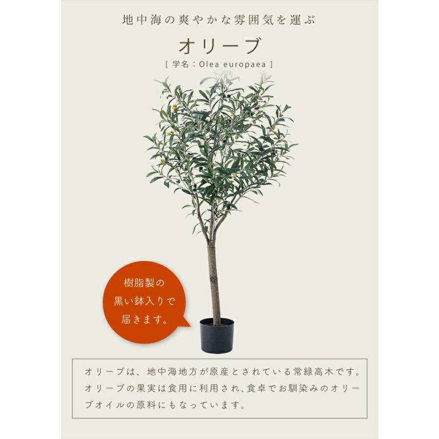 フェイクグリーン 観葉植物 人工観葉植物 オリーブ 高さ152cm 鉢付き