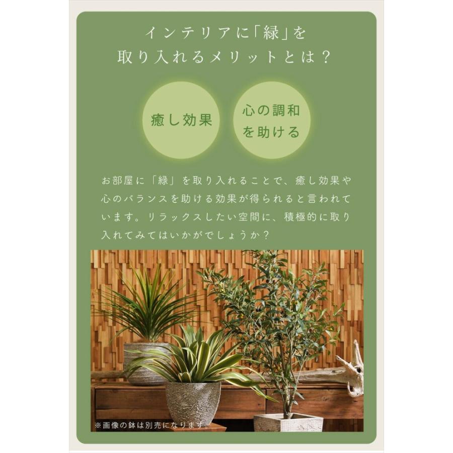 観葉植物 大型フェイクグリーン　2つセット　引取限定 フェイクグリーン 観葉植物 人工観葉植物 オリーブ 高さ152cm 鉢付き