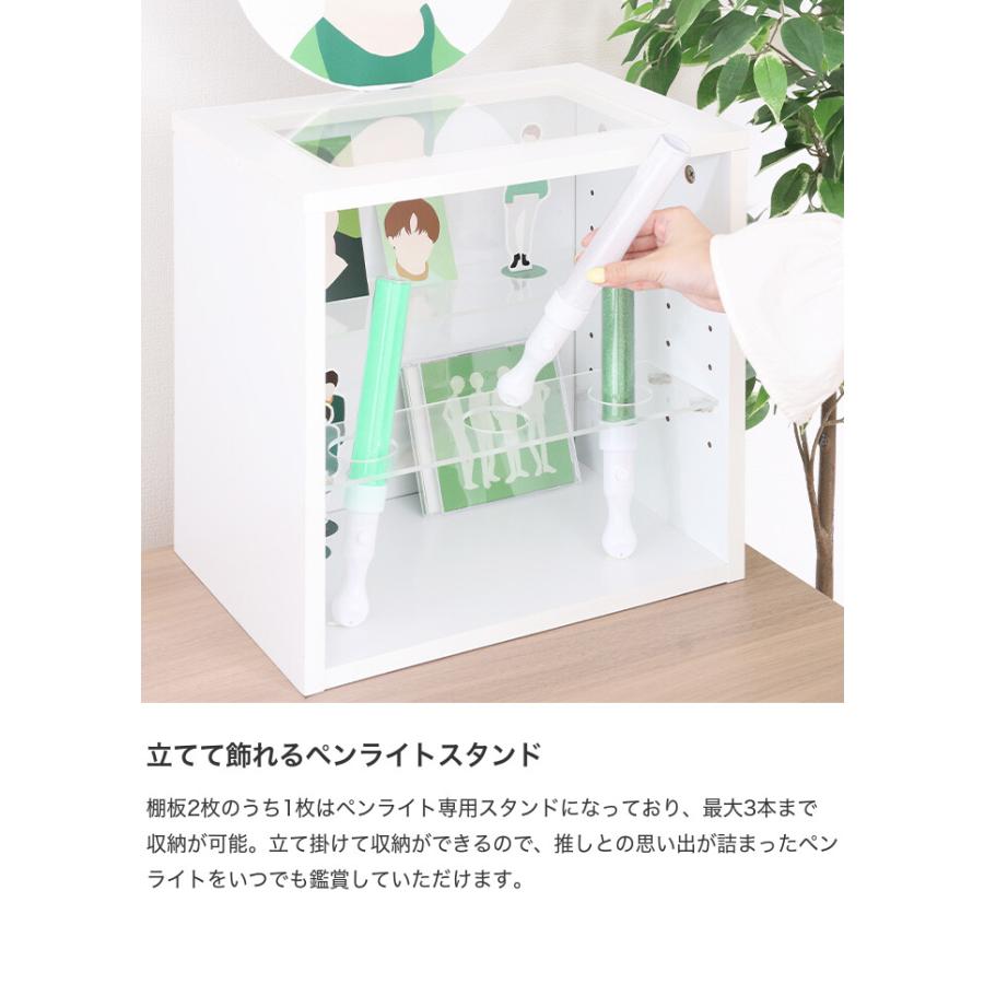 収納 カラーボックス ボックス収納 コレクションボックス グッズ収納