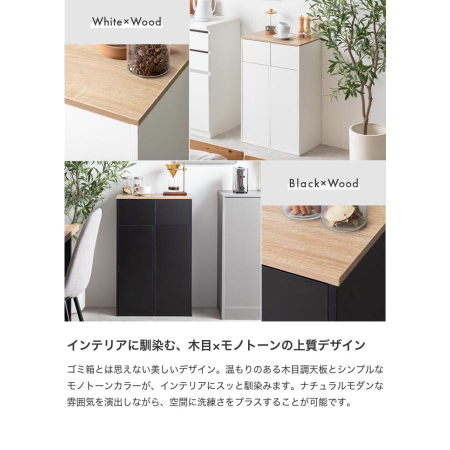 ゴミ箱 分別 2連 ダストボックス ごみ 縦型 ふた付 フタ 蓋 おしゃれ
