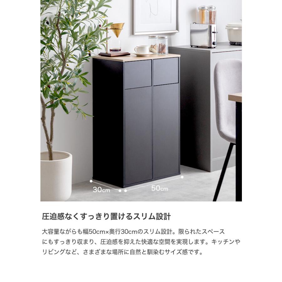 ゴミ箱 分別 2連 ダストボックス ごみ 縦型 ふた付 フタ 蓋 おしゃれ