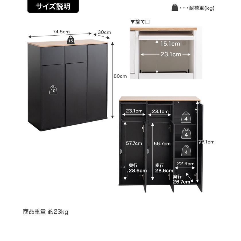 ゴミ箱 分別 2連 収納付き ダストボックス ごみ 縦型 ふた付 フタ 蓋
