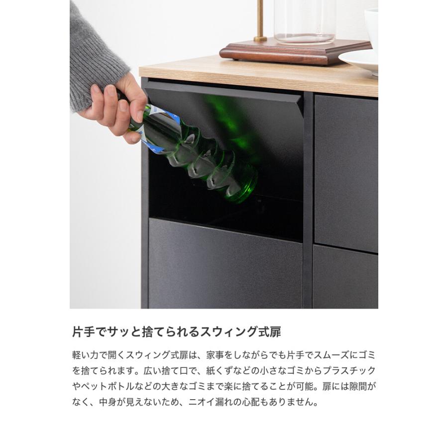 ゴミ箱 分別 2連 収納付き ダストボックス ごみ 縦型 ふた付 フタ 蓋