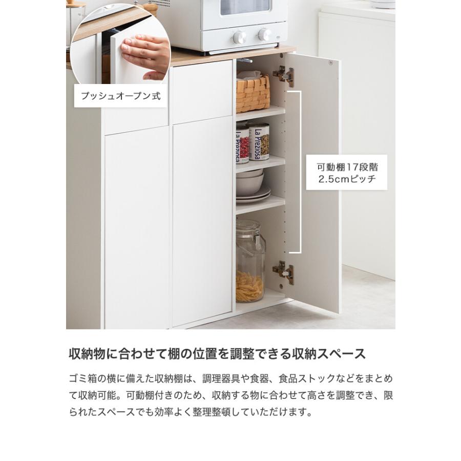ゴミ箱 分別 2連 収納付き ダストボックス ごみ 縦型 ふた付 フタ 蓋
