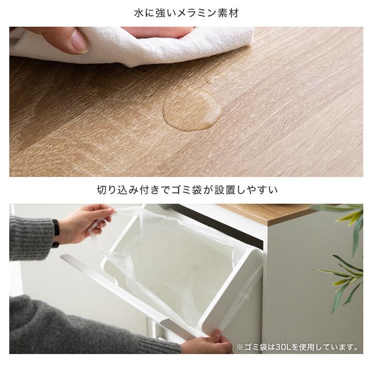 ゴミ箱 ダストボックス 分別 二段 15L 20L 縦型 フラップ式 キッチン