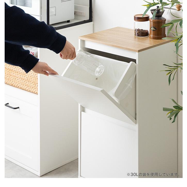 ゴミ箱 ダストボックス 分別 二段 15L 20L 縦型 フラップ式 キッチン