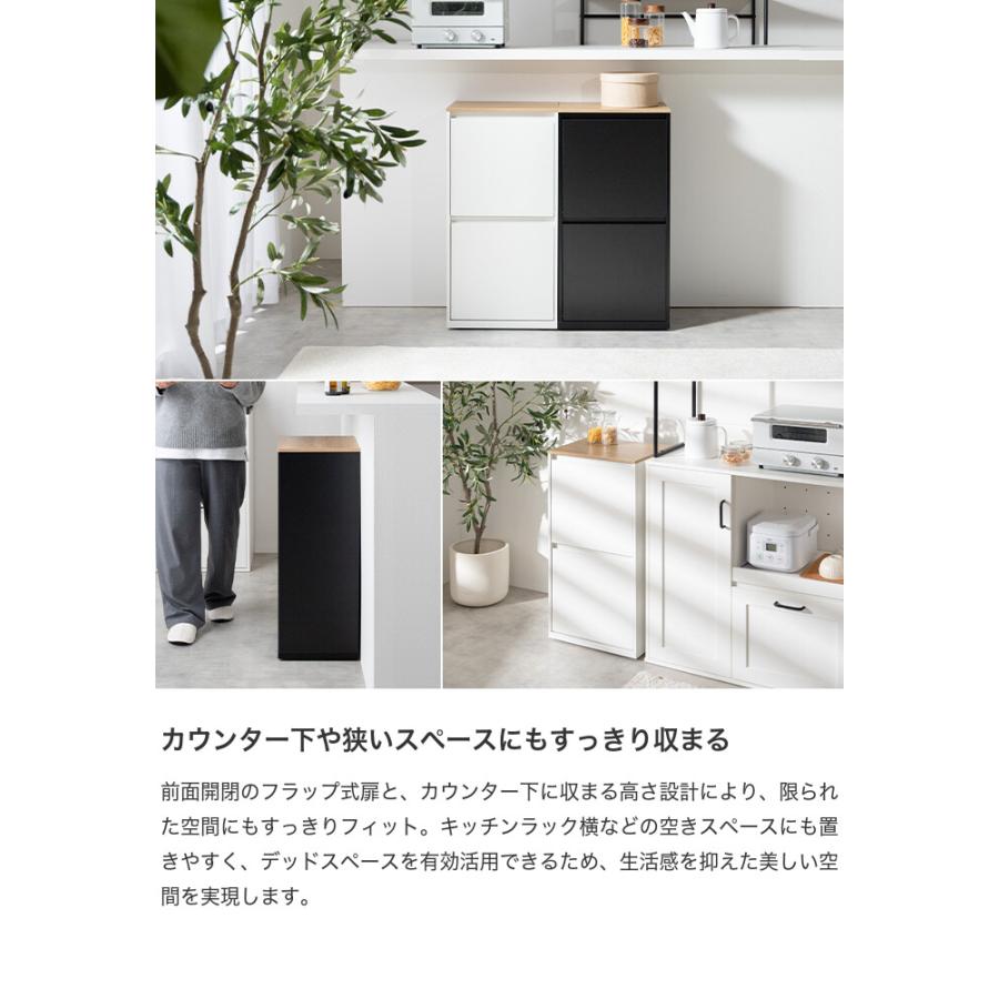 ゴミ箱 ダストボックス 分別 二段 15L 20L 縦型 フラップ式 キッチン