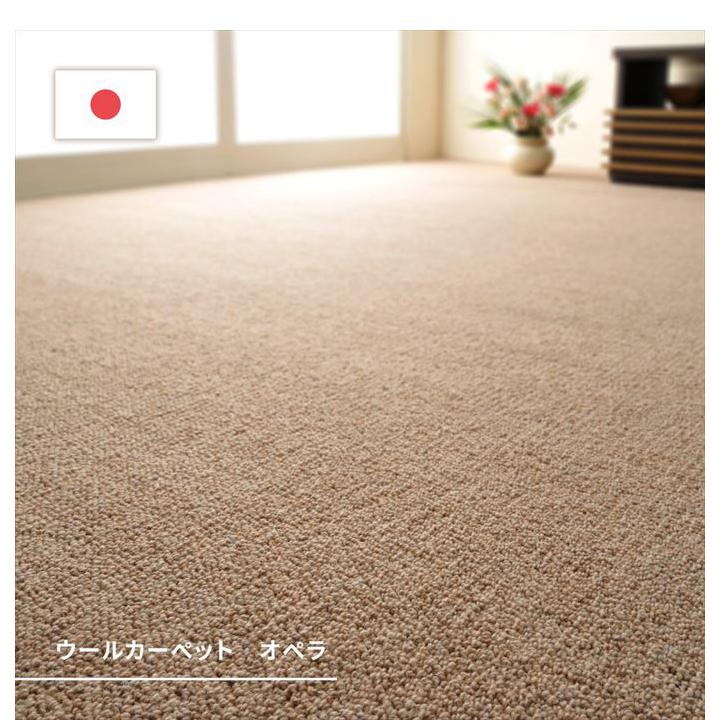 ラグ 江戸間4.5帖 畳 抗菌 防臭 防炎加工 ダニ 子供 キッズ 赤ちゃん ペット 汚れにくい お手入れ簡単 日本製 made in japan ループパイル オールシーズン_1