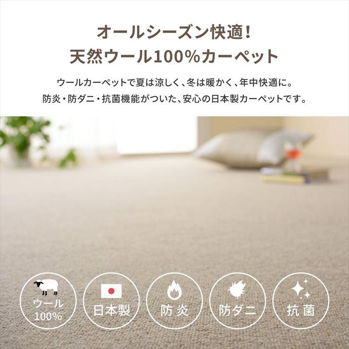 ラグ 江戸間4.5帖 畳 抗菌 防臭 防炎加工 ダニ 子供 キッズ 赤ちゃん ペット 汚れにくい お手入れ簡単 日本製 made in japan ループパイル オールシーズン_2