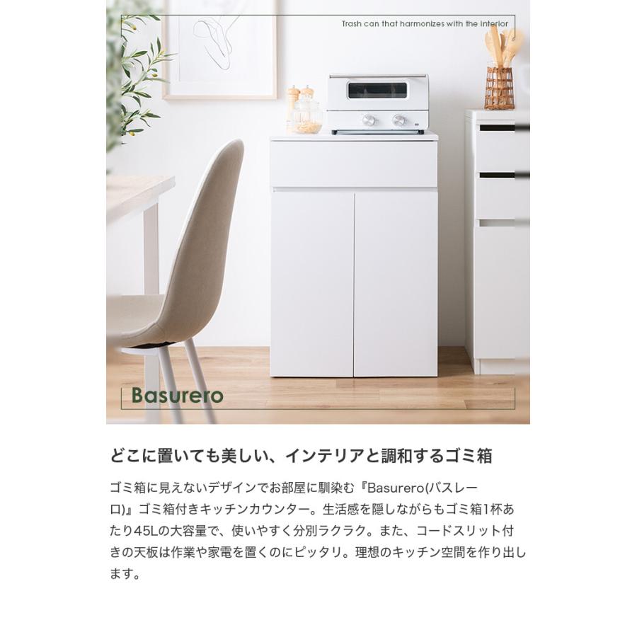 ゴミ箱 分別 45リットル 45L ダストボックス キッチンカウンター