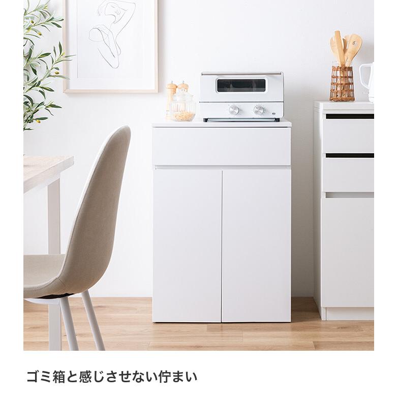 ゴミ箱 分別 45リットル 45L ダストボックス キッチンカウンター