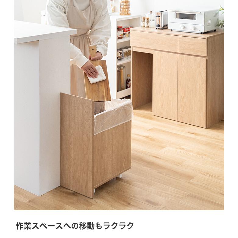 ゴミ箱 分別 45リットル 45L ダストボックス キッチンカウンター