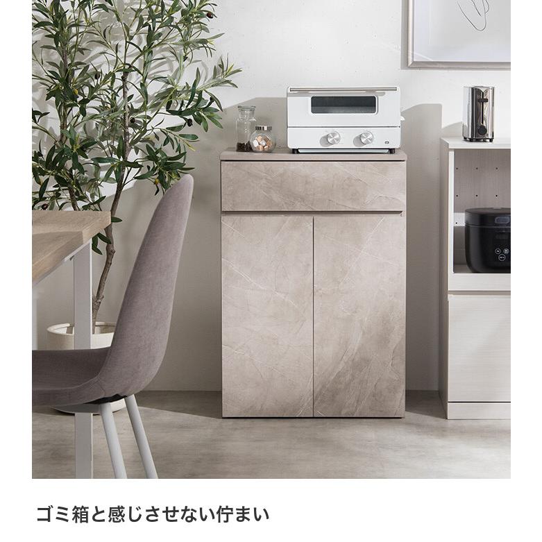 ゴミ箱 分別 45リットル 45L ダストボックス キッチンカウンター