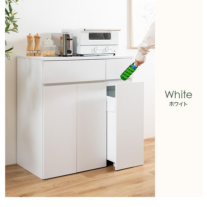 ゴミ箱 分別 45リットル 45L ダストボックス キッチンカウンター