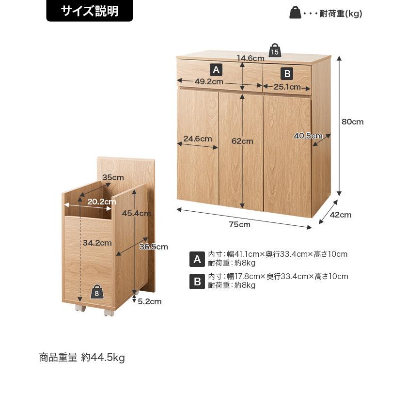 ゴミ箱 分別 45リットル 45L ダストボックス キッチンカウンター