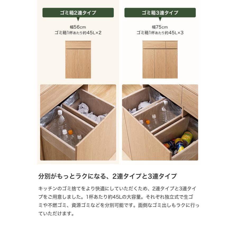 ゴミ箱 分別 45リットル 45L ダストボックス キッチンカウンター