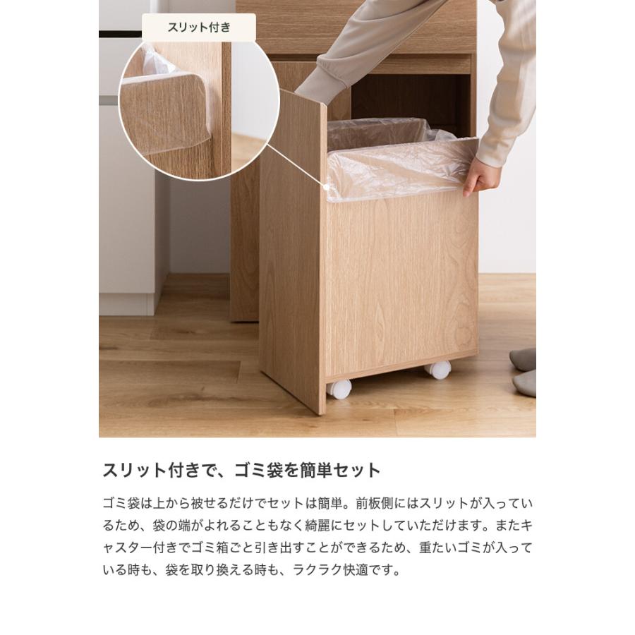 ゴミ箱 分別 45リットル 45L ダストボックス キッチンカウンター