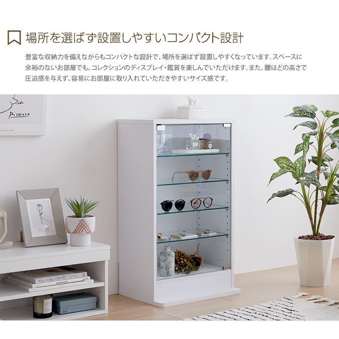 コレクションケース コレクションシェルフ シェルフ ガラスケース