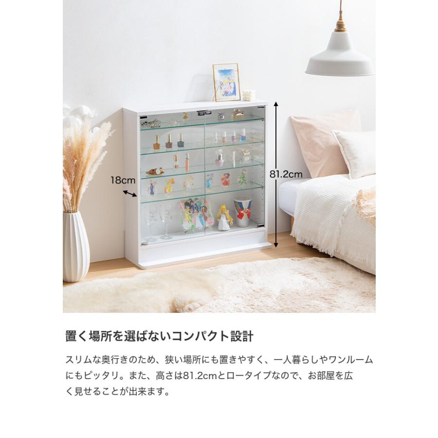 レージン (Legen) コレクションケース　en-235 147005 BR 楽天市場】Legen レーゲン コレクションケース ガラスケース