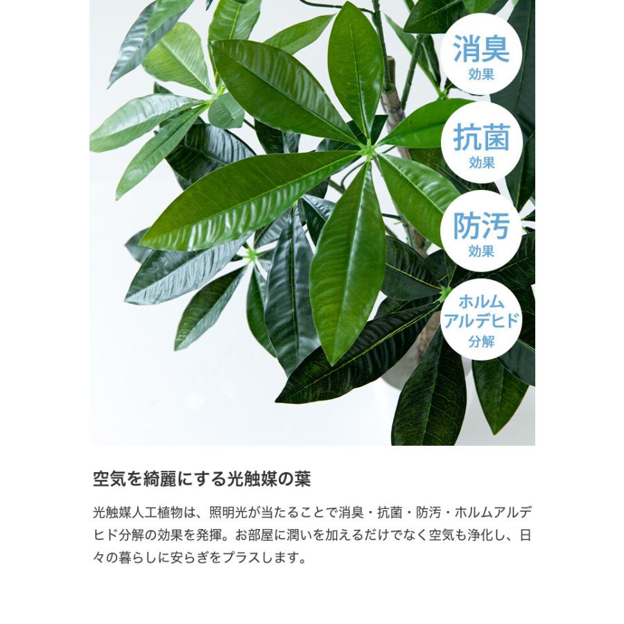 Nature ナチュレ 観葉植物 パキラ フェイクグリーン 人工 室内 リビング オフィス 一人暮らし 緑 インテリア 光触媒 空気清浄 消臭 抗菌 防汚｜kagu350｜04