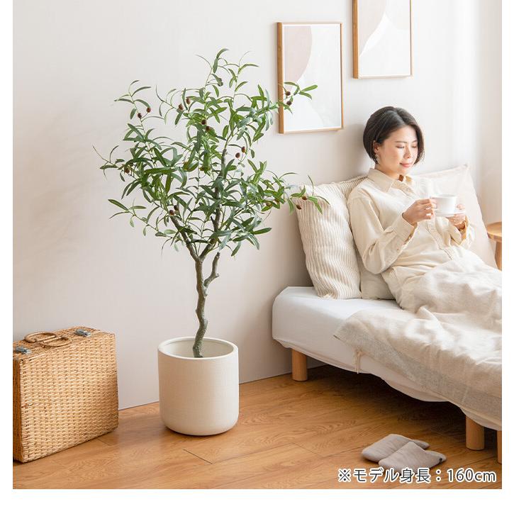ART202 「プリズム(オリーブ)」 インテリアコーディネート 観葉植物
