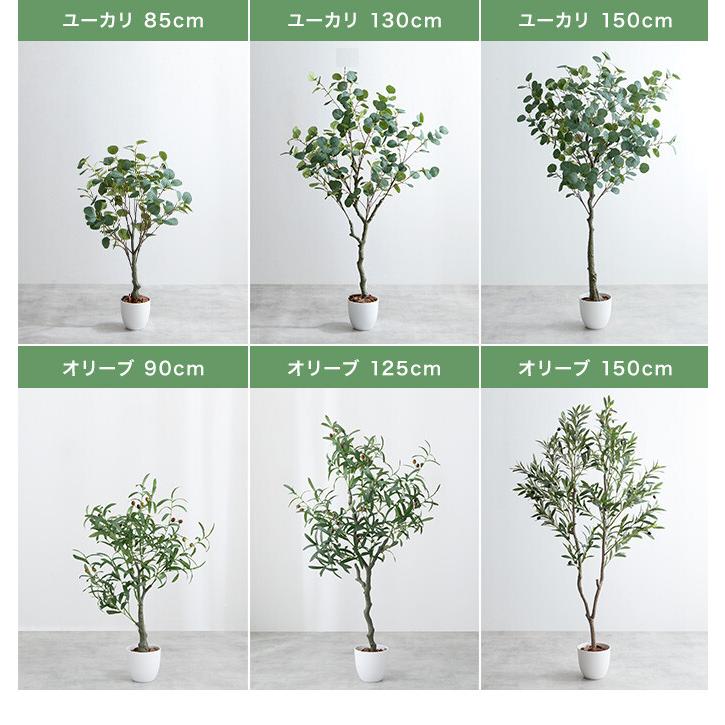 Nature ナチュレ 観葉植物 オリーブ フェイクグリーン 人工 室内 Nature ナチュレ 観葉植物 オリーブ フェイクグリーン 人工 室内