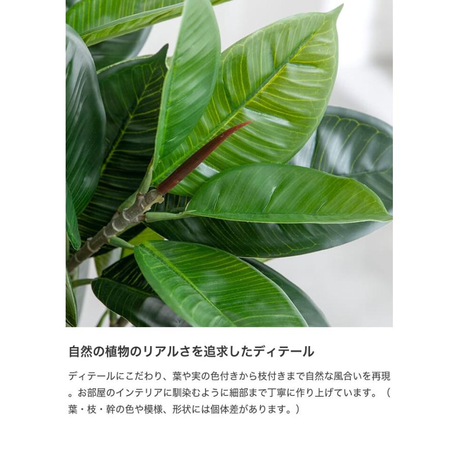 観葉植物 ゴムの木 フィカス フェイクグリーン 人工 室内 リビング