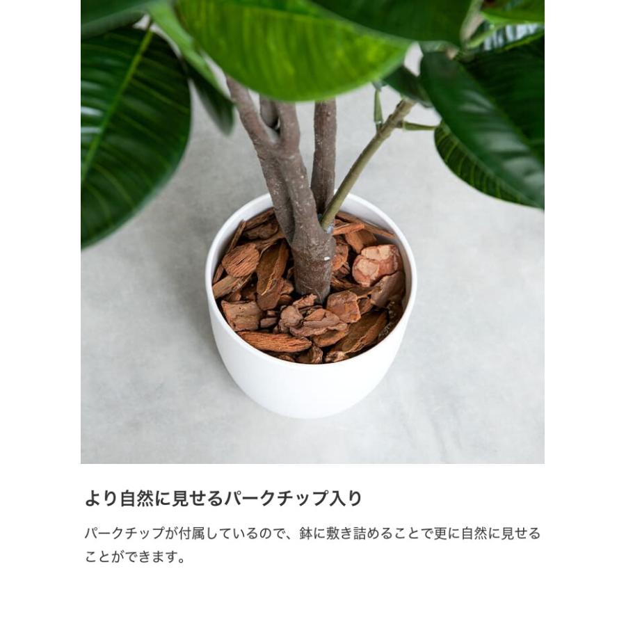 光触媒　人工観葉植物　ウォールグリーン　フィカスグリーン　フィカスフロリス 観葉植物 ゴムの木 フィカス フェイクグリーン 人工 室内 リビング