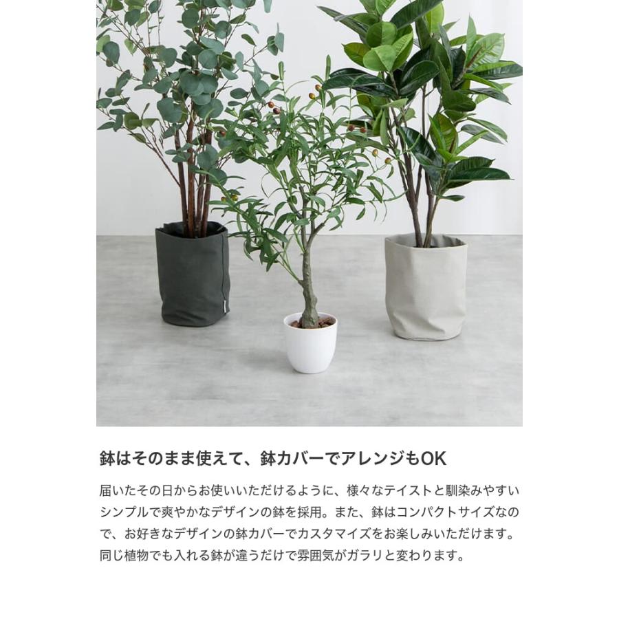 観葉植物 ゴムの木 フィカス フェイクグリーン 人工 室内 リビング