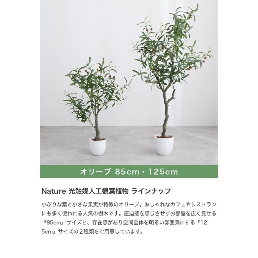 観葉植物 カポック シェフレラ フェイクグリーン 人工観葉植物 光触媒 空気清浄 消臭 抗菌 防汚 ホルムアルデヒド分解 高さ90cm 人工 造花 観葉 植物 植木 G1606 家具350 通販 Yahoo ショッピング