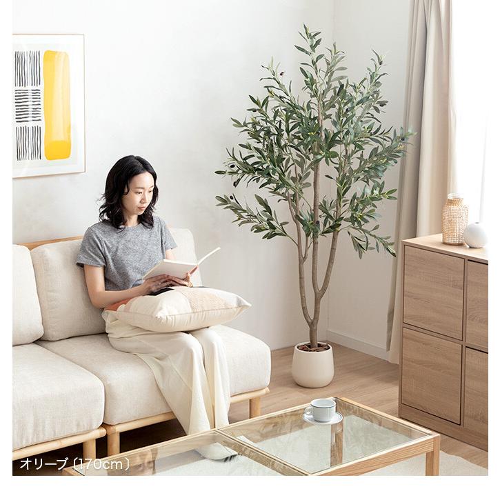 クリーンルーム等精密部品加工仕様　複数セット ホワイト/ミントグリーン Mサイズ 観葉植物 オリーブ フェイクグリーン 人工 室内 リビング オフィス