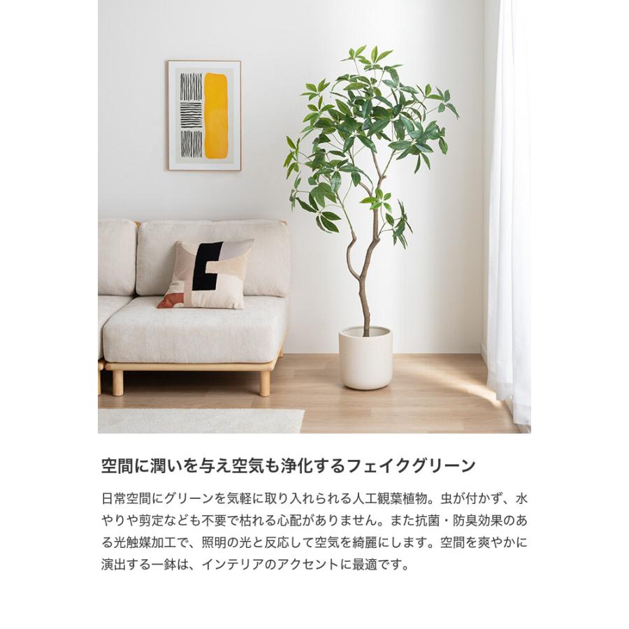 フェイクグリーン 大型 人工観葉植物（パキラ 100cm 白）インテリア 造花 フェイクグリーン パキラ 大型 光触媒 観葉植物 室内 人工 造花 曲木
