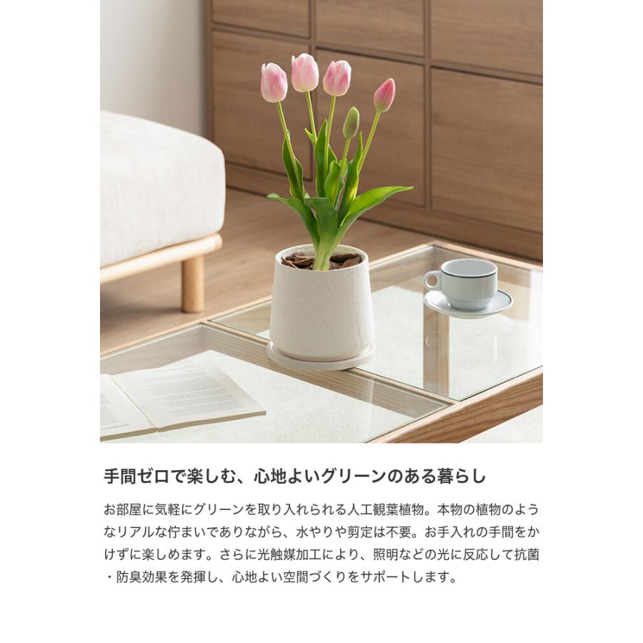 フェイクグリーン チューリップ 卓上 光触媒 観葉植物 室内 人工 花