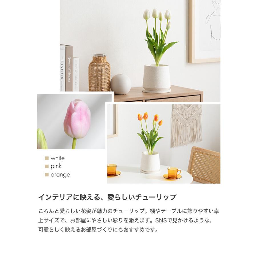 フェイクグリーン チューリップ 卓上 光触媒 観葉植物 室内 人工 花