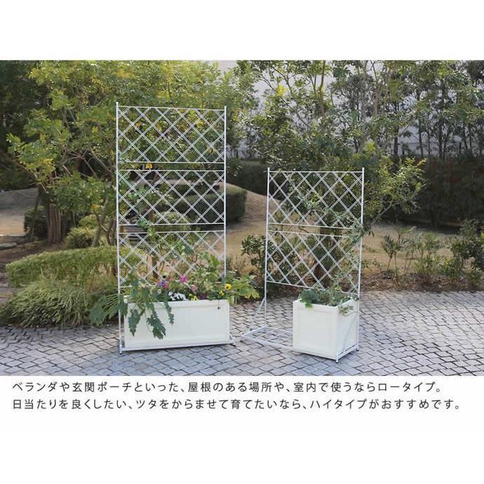 フェンス アイアン ガーデン 庭 高級感 おしゃれ 仕切り 上品 ガーデニング スタイリッシュ ホワイト ブラック 白 黒_8