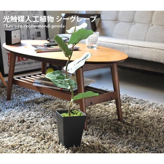 Aicvhin 人工観葉植物 プレミアム 造花 光触媒 簡単世話いらず 水やり不要 観葉植物
