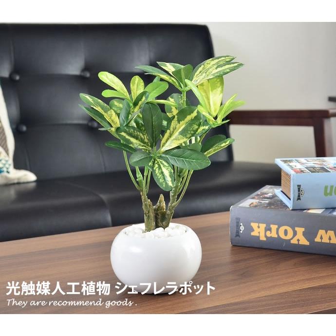 観葉植物 光触媒 造花 シェフレラポット グリーン 人工植物 消臭 抗菌
